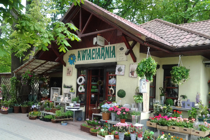Nasza Kwiaciarnia